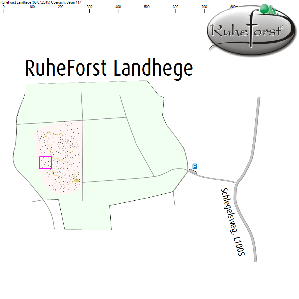 &Uuml;bersichtskarte zu Baum 117