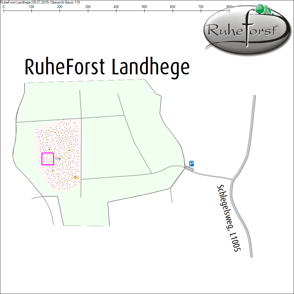 &Uuml;bersichtskarte zu Baum 119