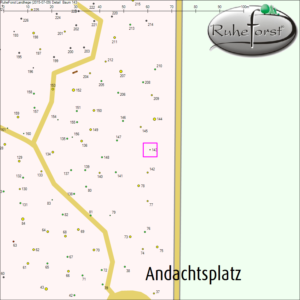 Detailkarte zu Baum 143