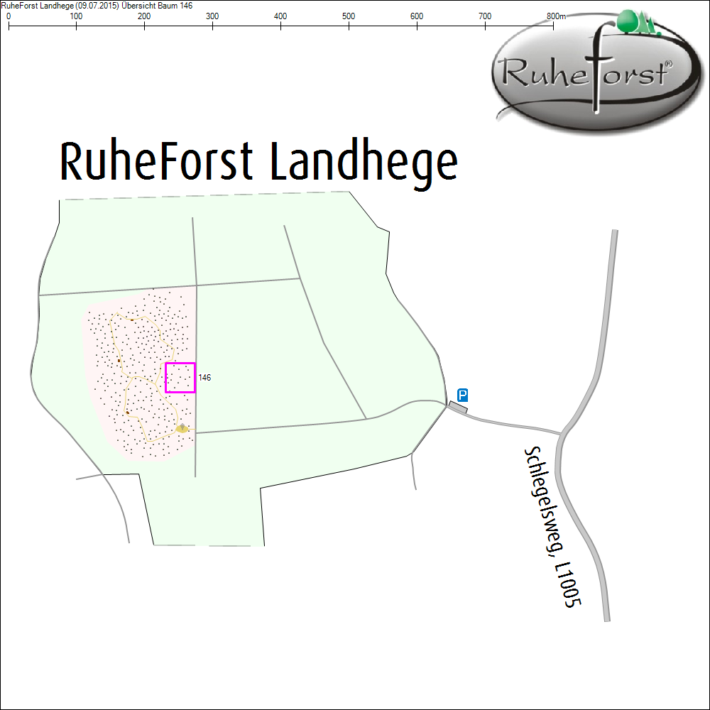 &Uuml;bersichtskarte zu Baum 146