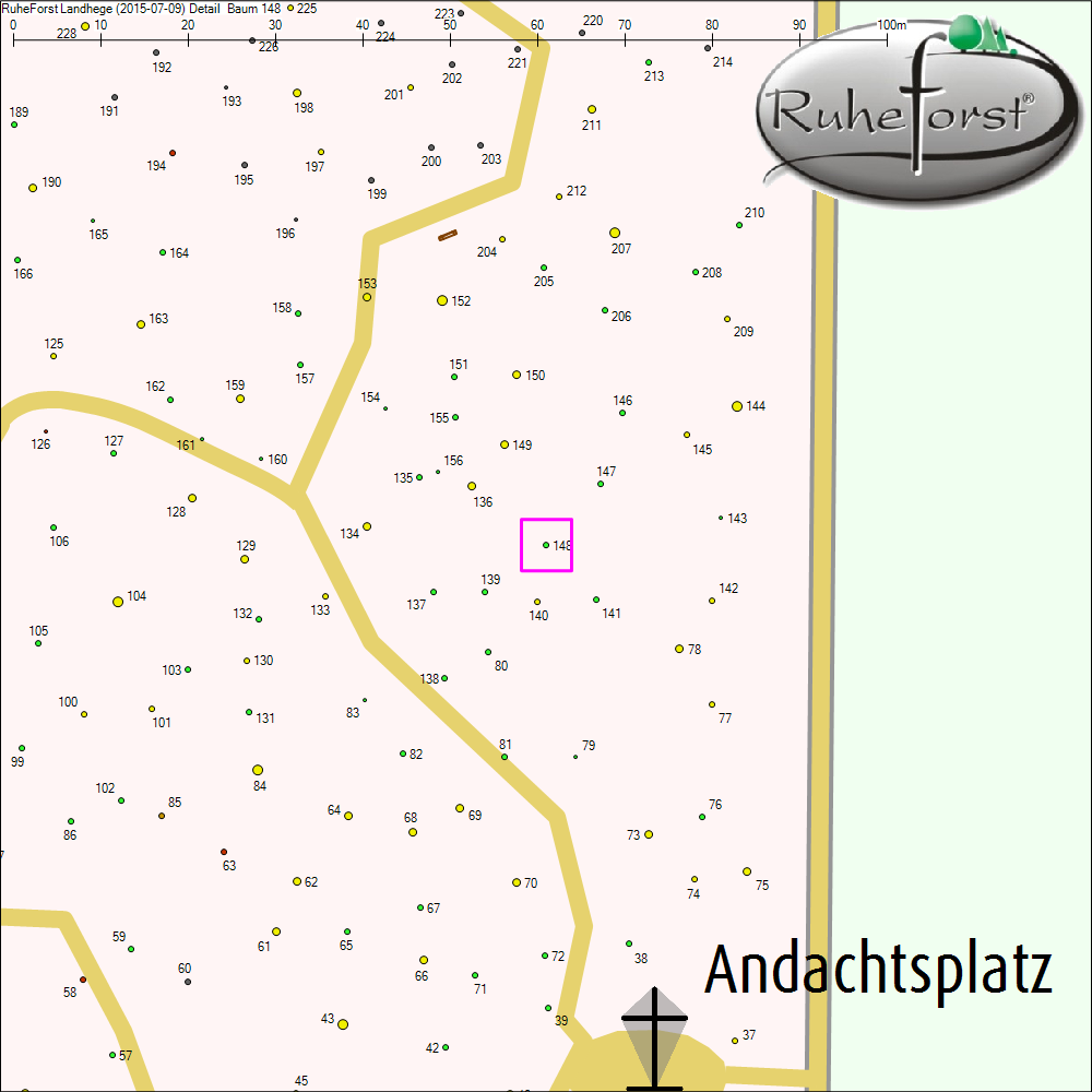 Detailkarte zu Baum 148