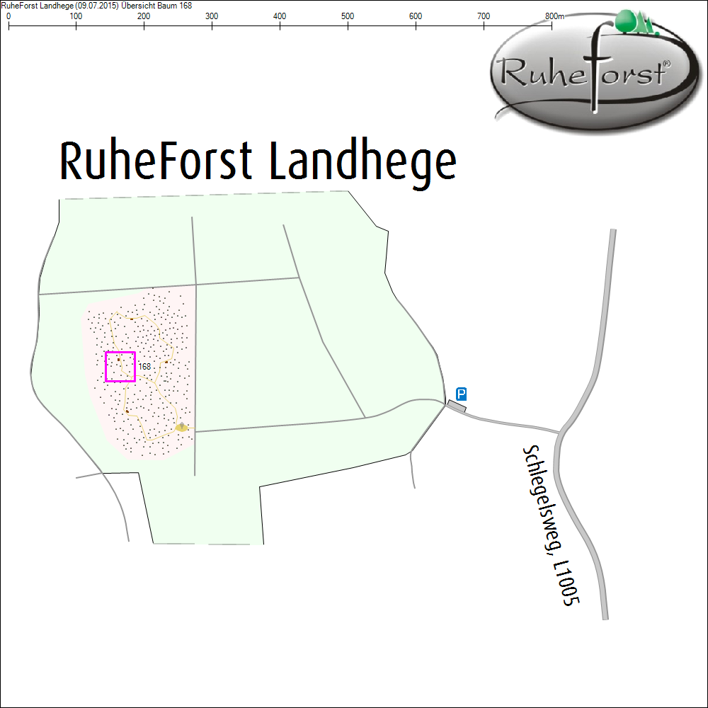 &Uuml;bersichtskarte zu Baum 168