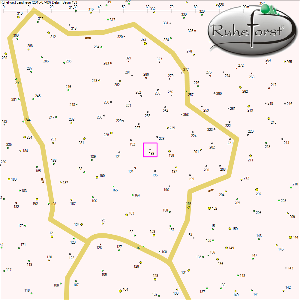 Detailkarte zu Baum 193