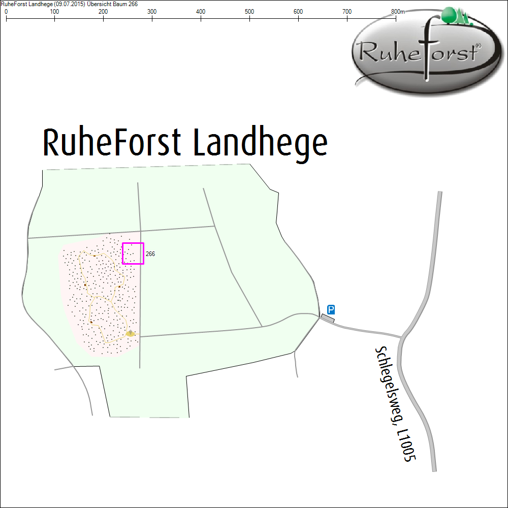 &Uuml;bersichtskarte zu Baum 266