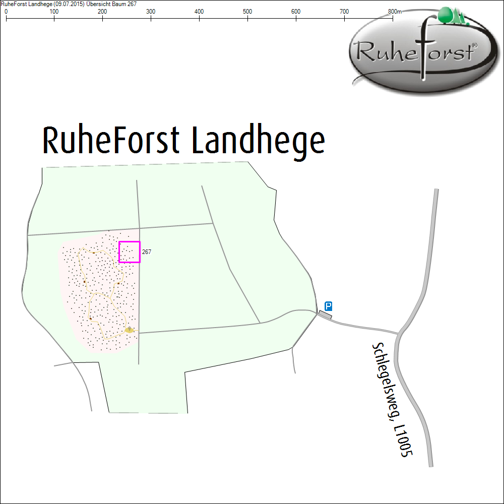 &Uuml;bersichtskarte zu Baum 267