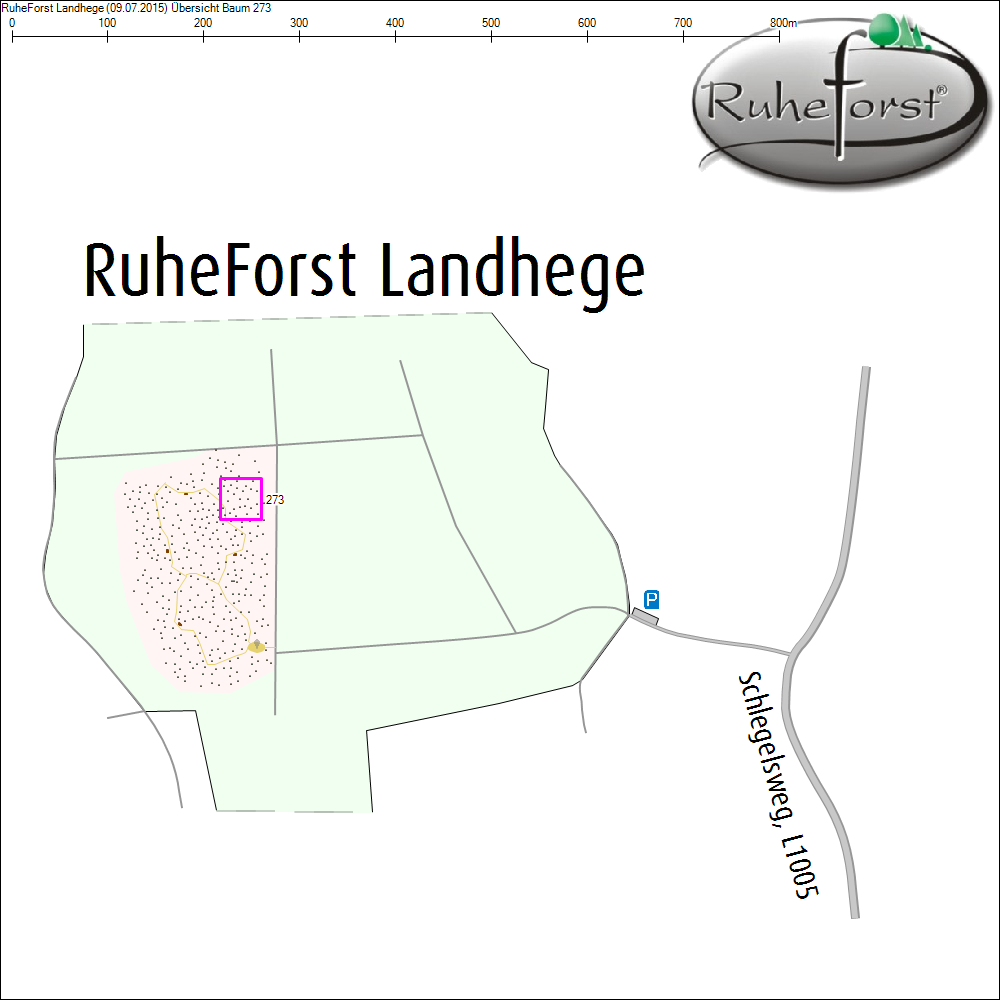 &Uuml;bersichtskarte zu Baum 273