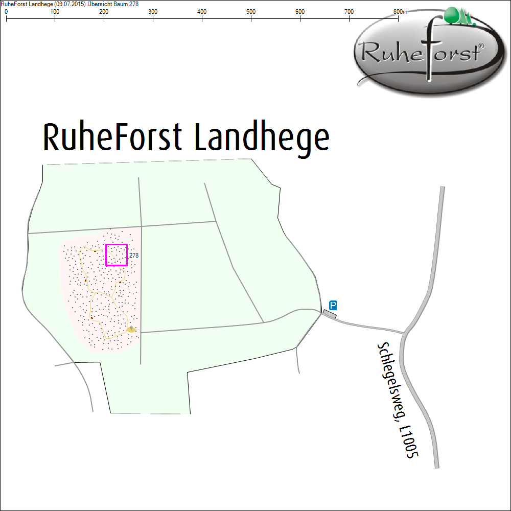 &Uuml;bersichtskarte zu Baum 278