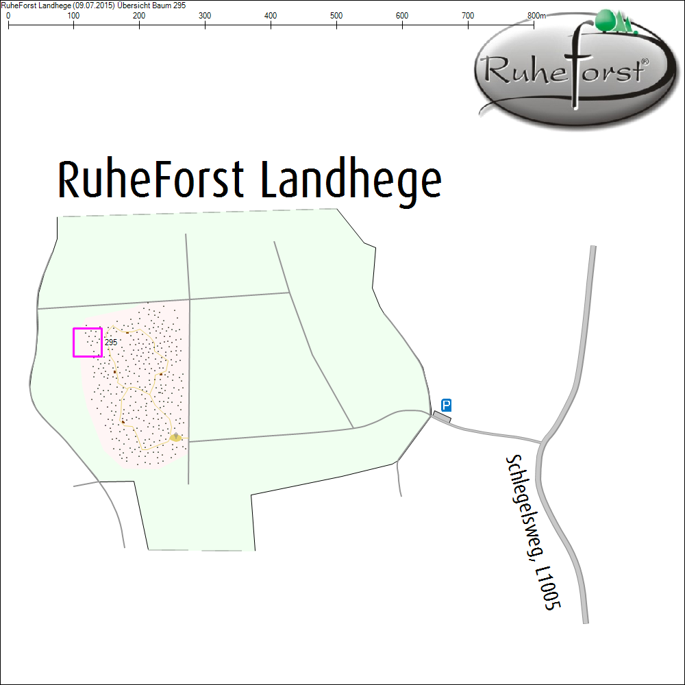 &Uuml;bersichtskarte zu Baum 295