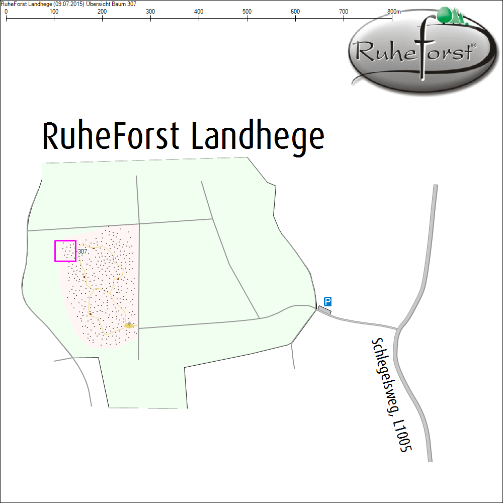 &Uuml;bersichtskarte zu Baum 307