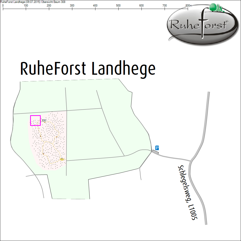 &Uuml;bersichtskarte zu Baum 308
