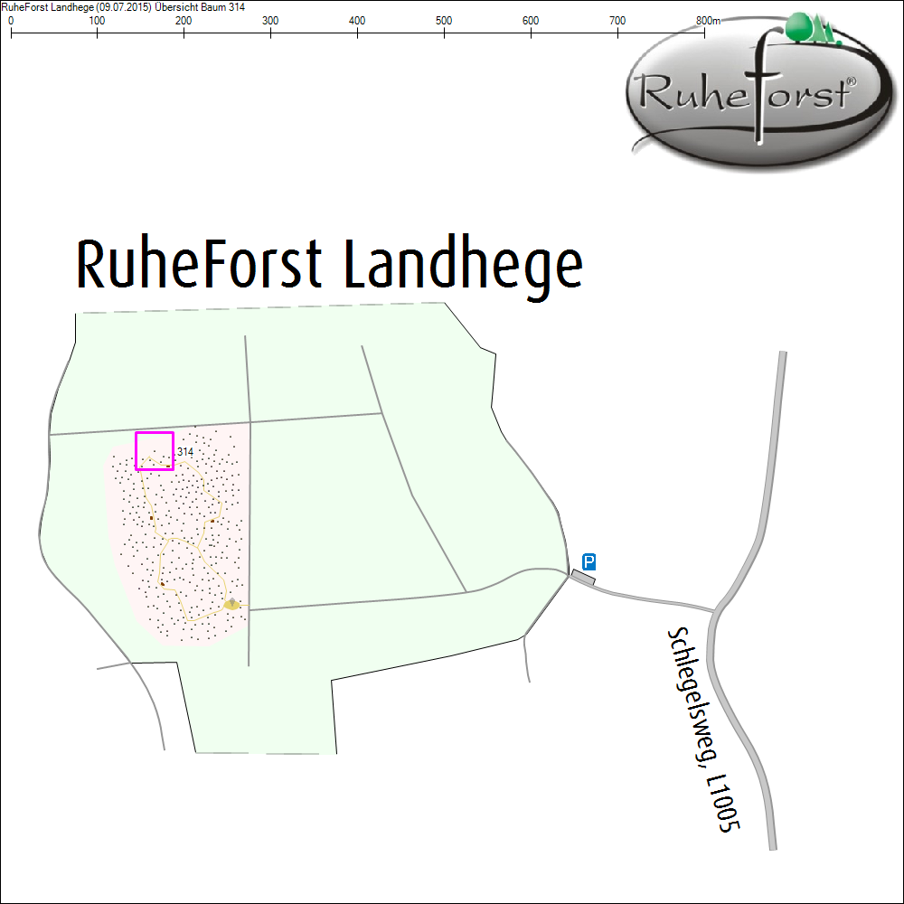&Uuml;bersichtskarte zu Baum 314