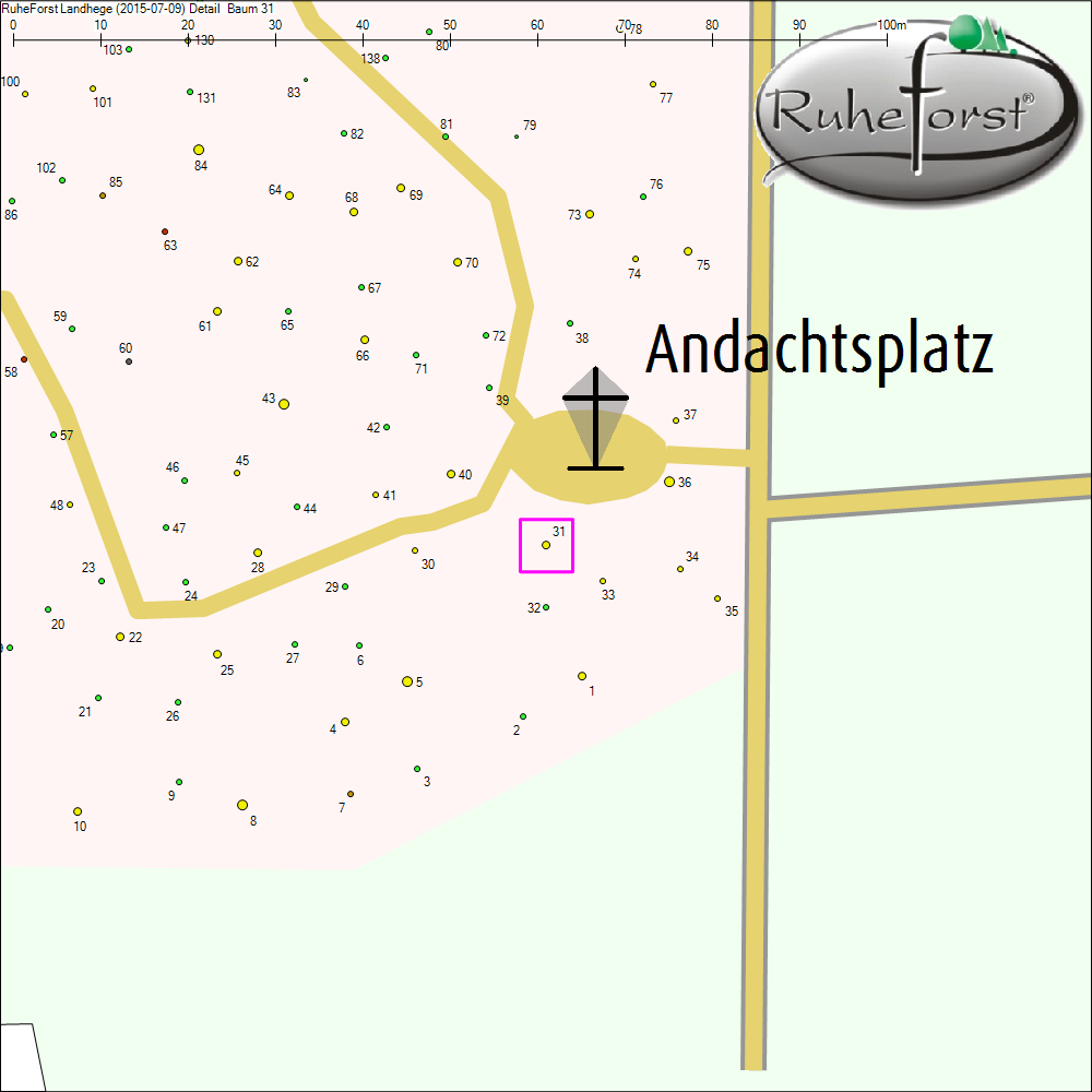 Detailkarte zu Baum 31