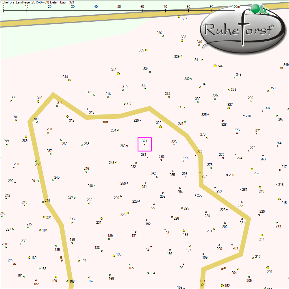 Detailkarte zu Baum 321