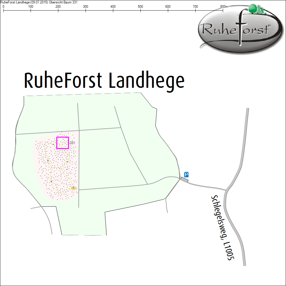 &Uuml;bersichtskarte zu Baum 331