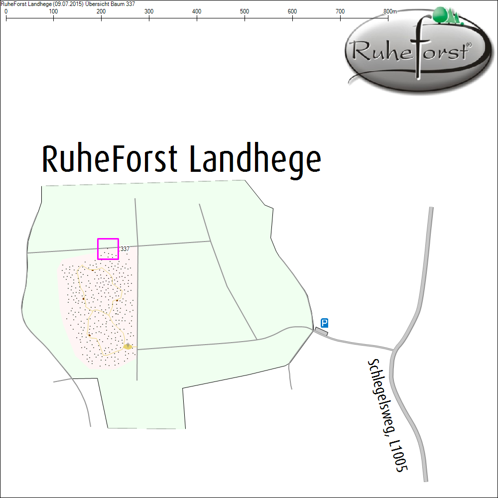 &Uuml;bersichtskarte zu Baum 337