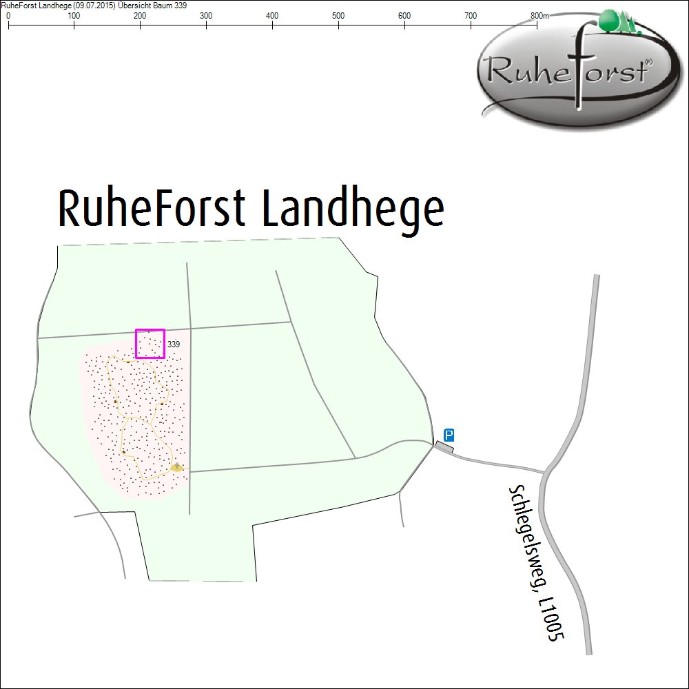 &Uuml;bersichtskarte zu Baum 339