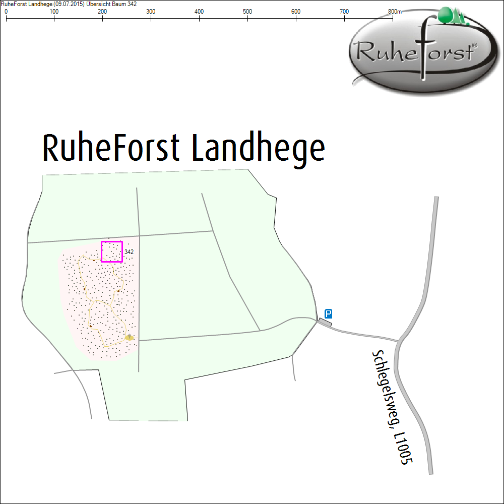 &Uuml;bersichtskarte zu Baum 342
