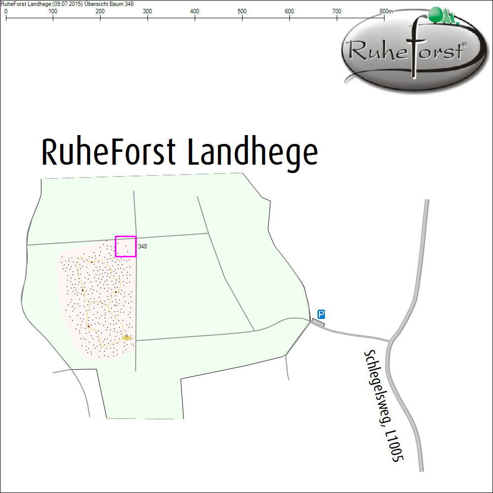 &Uuml;bersichtskarte zu Baum 348