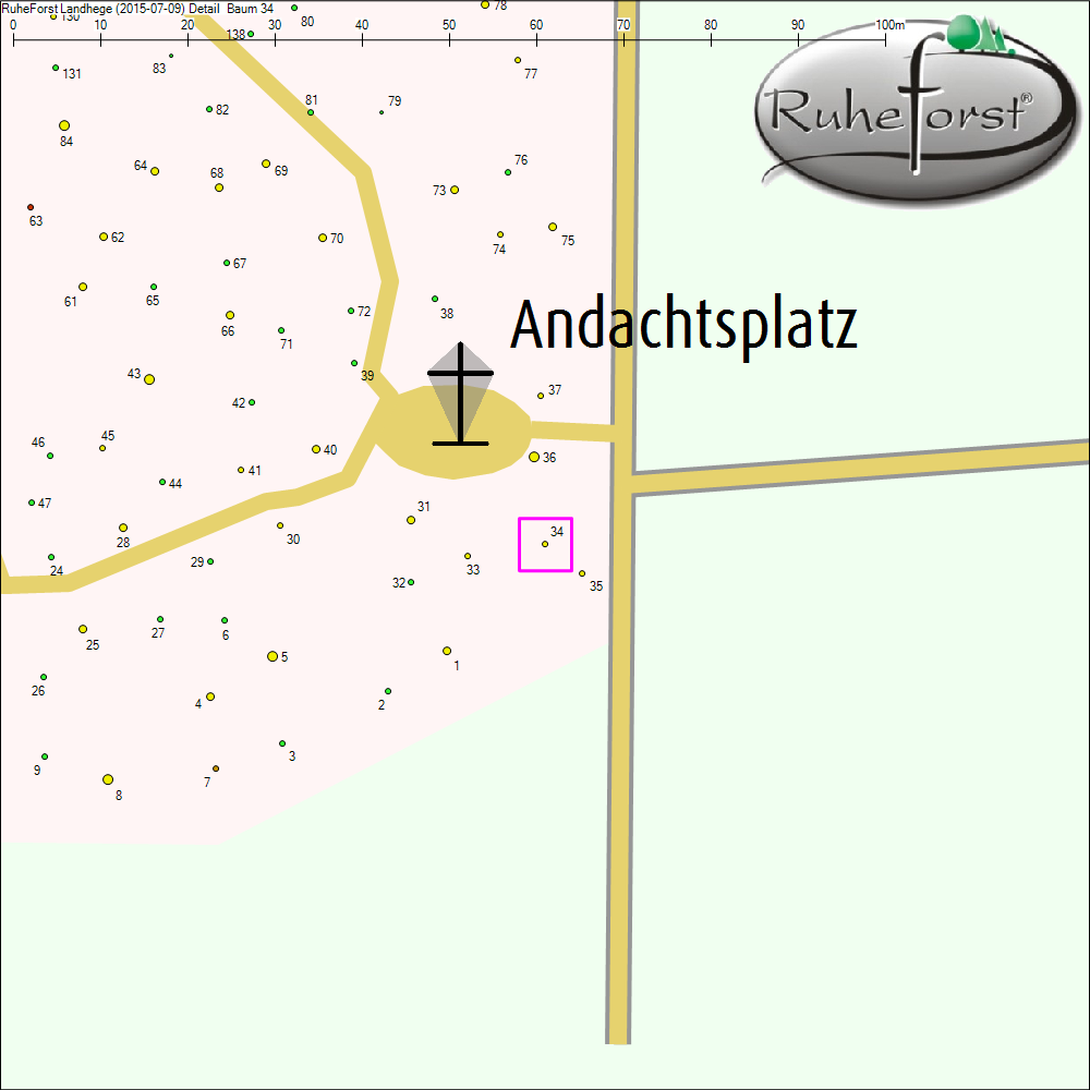 Detailkarte zu Baum 34