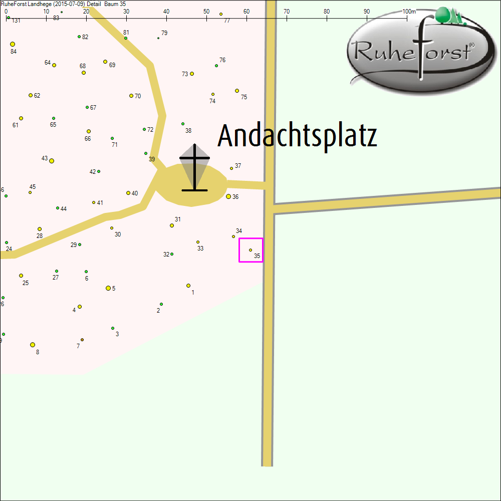Detailkarte zu Baum 35
