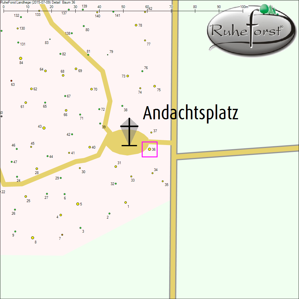 Detailkarte zu Baum 36