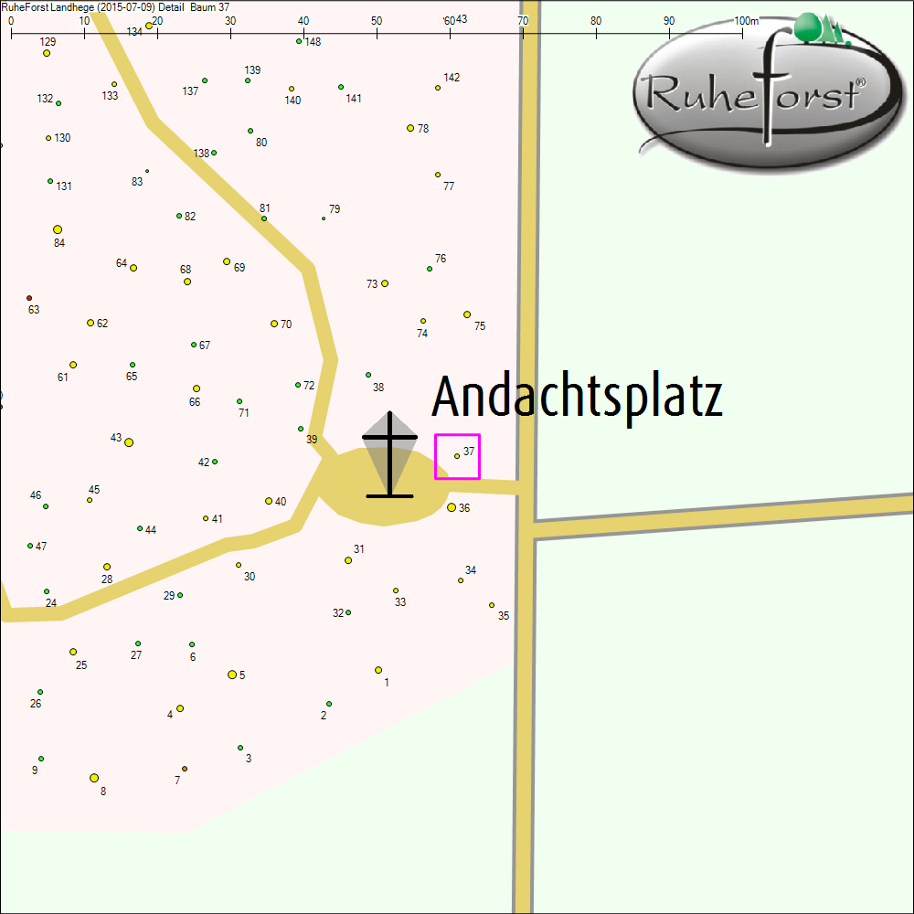 Detailkarte zu Baum 37