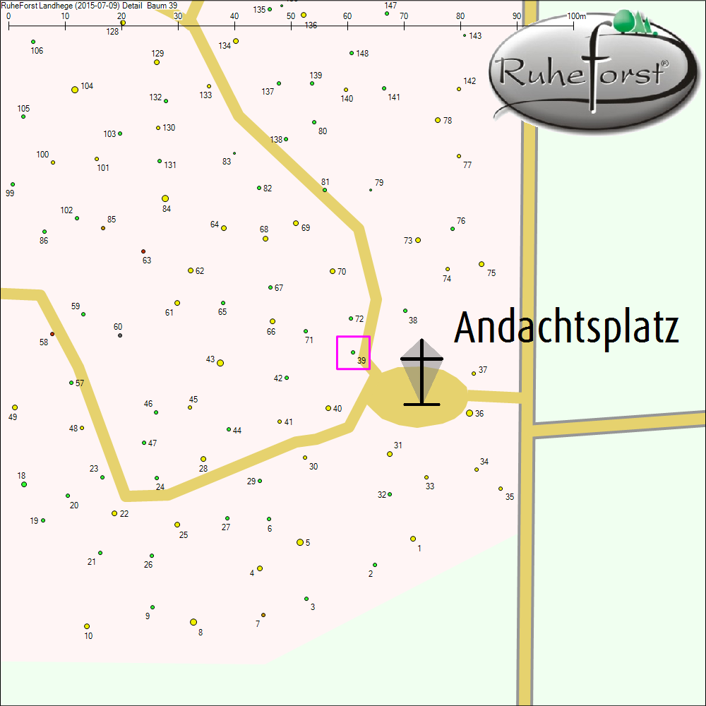 Detailkarte zu Baum 39