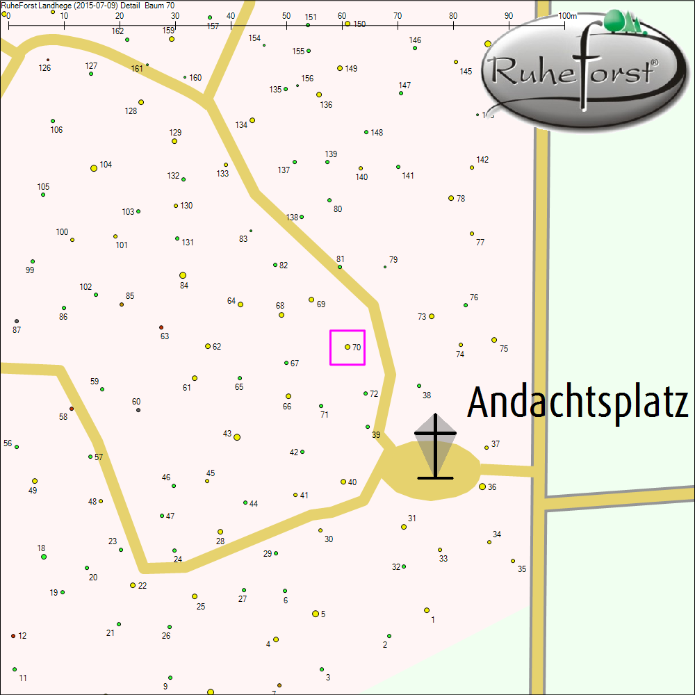 Detailkarte zu Baum 70