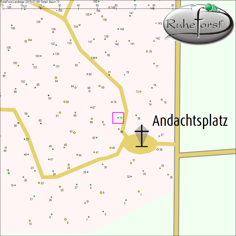 Detailkarte zu Baum 72