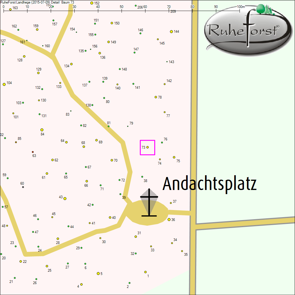 Detailkarte zu Baum 73