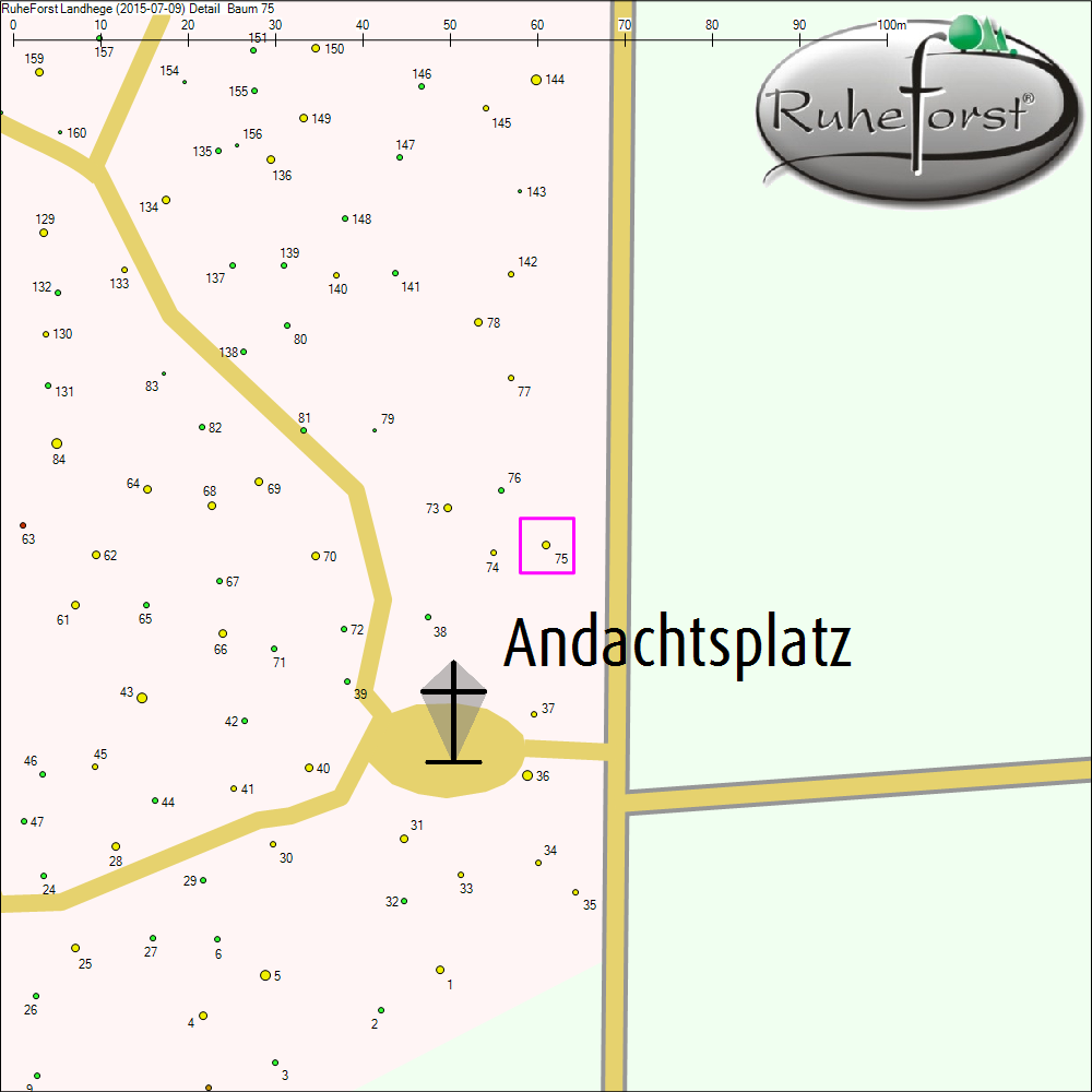 Detailkarte zu Baum 75