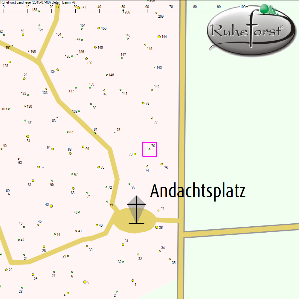 Detailkarte zu Baum 76