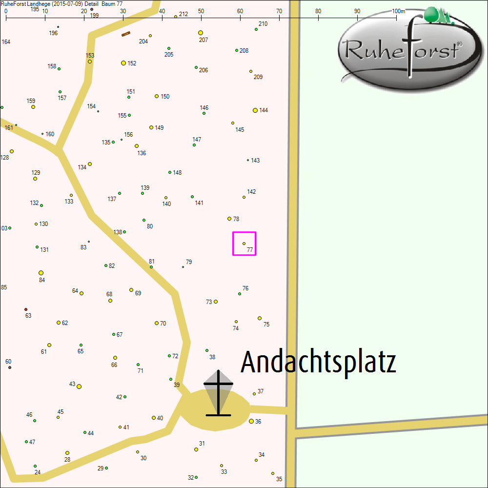 Detailkarte zu Baum 77