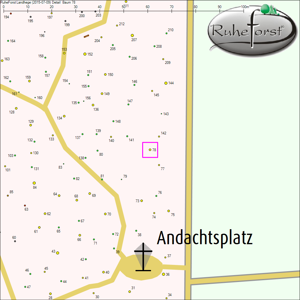Detailkarte zu Baum 78