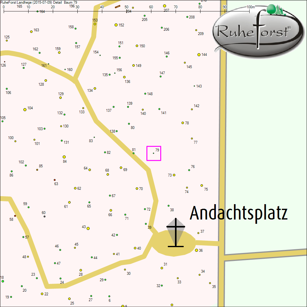 Detailkarte zu Baum 79