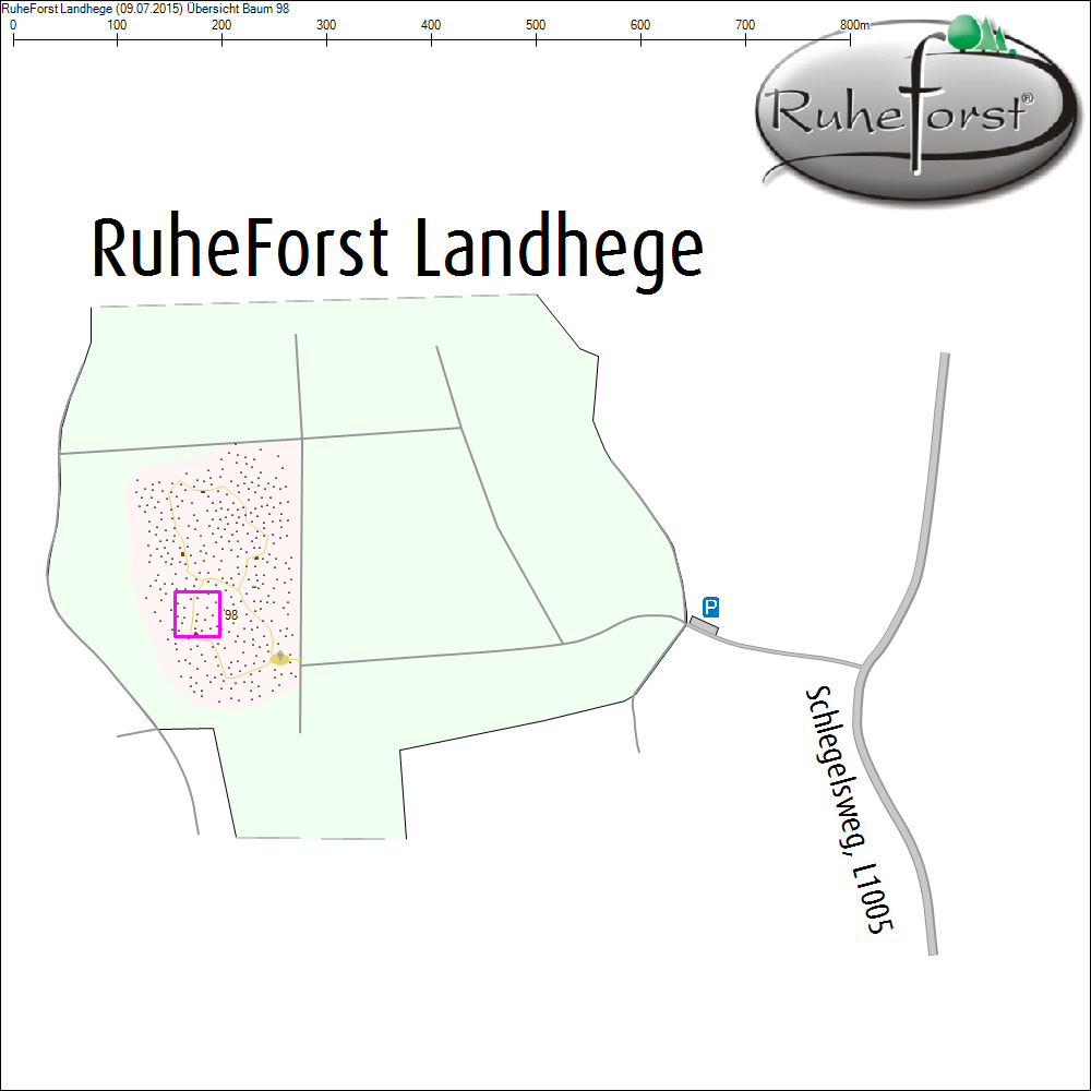 &Uuml;bersichtskarte zu Baum 98